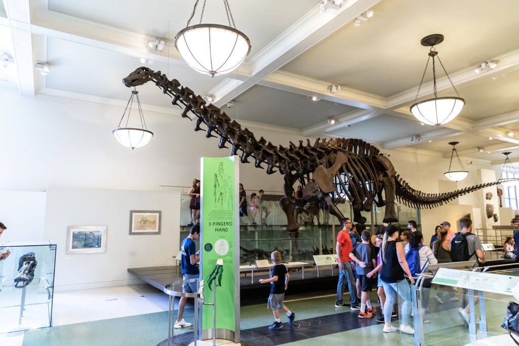 NEW YORK CITY, USA - MARCH 29, 2020: Dinosaur in  American Museum of Natural History in New York City, NY, USA