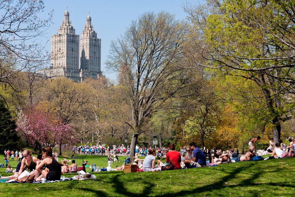 NEW YORK, NY - JUNE 15: New Yorkers relax at Central Park to enjoy the first sunbath of the season June 15, 2010 in Manhattan.