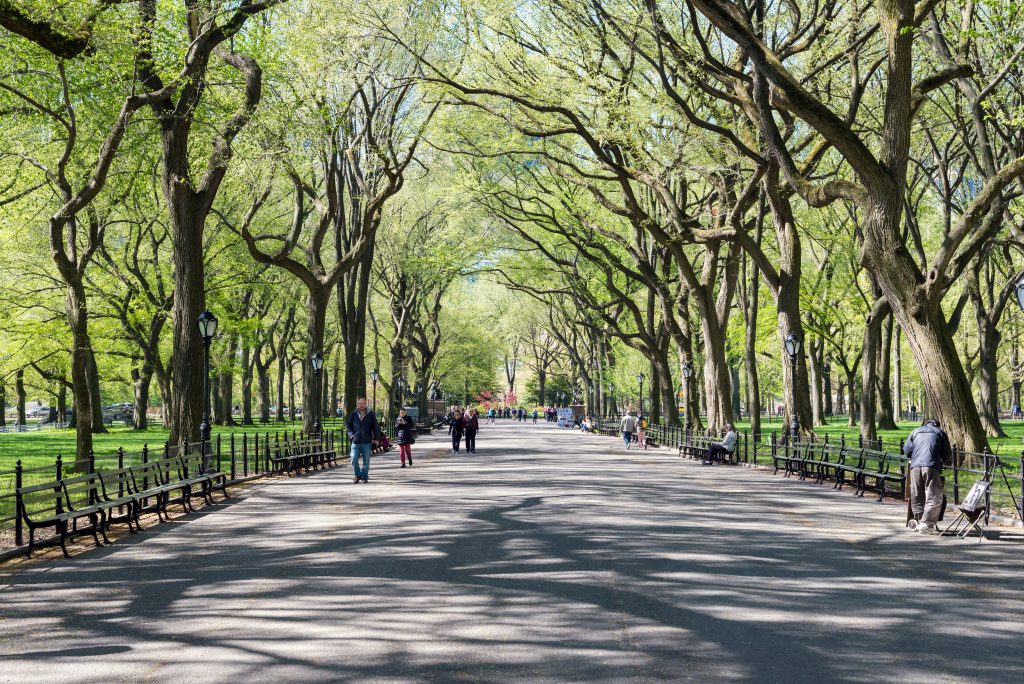NEW YORK, USA - MAY 5, 2014: people walk in Central Park in spring time, New York, USA
