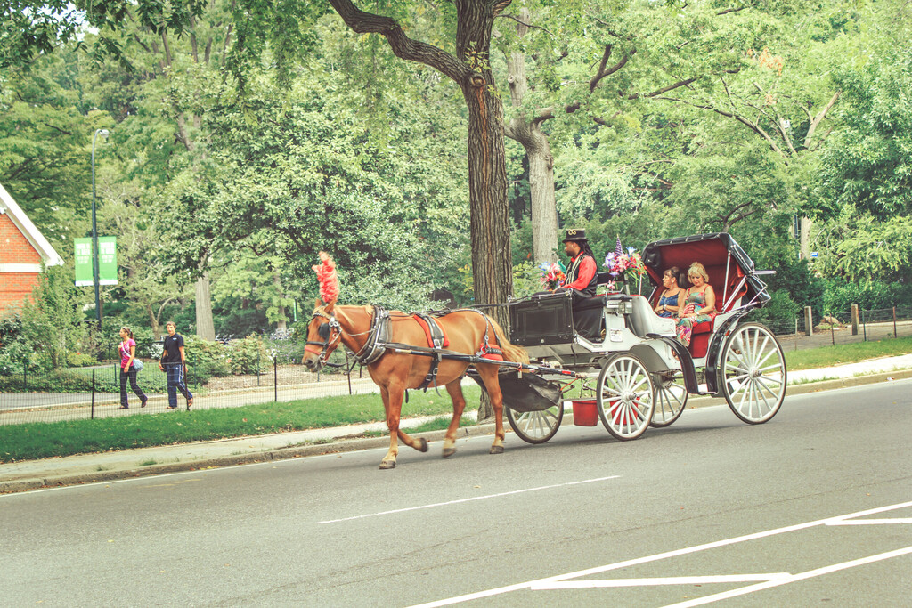 New York city, Washington DC / USA - 9.15.2011: Turistics carriage in the Central park, New York city.