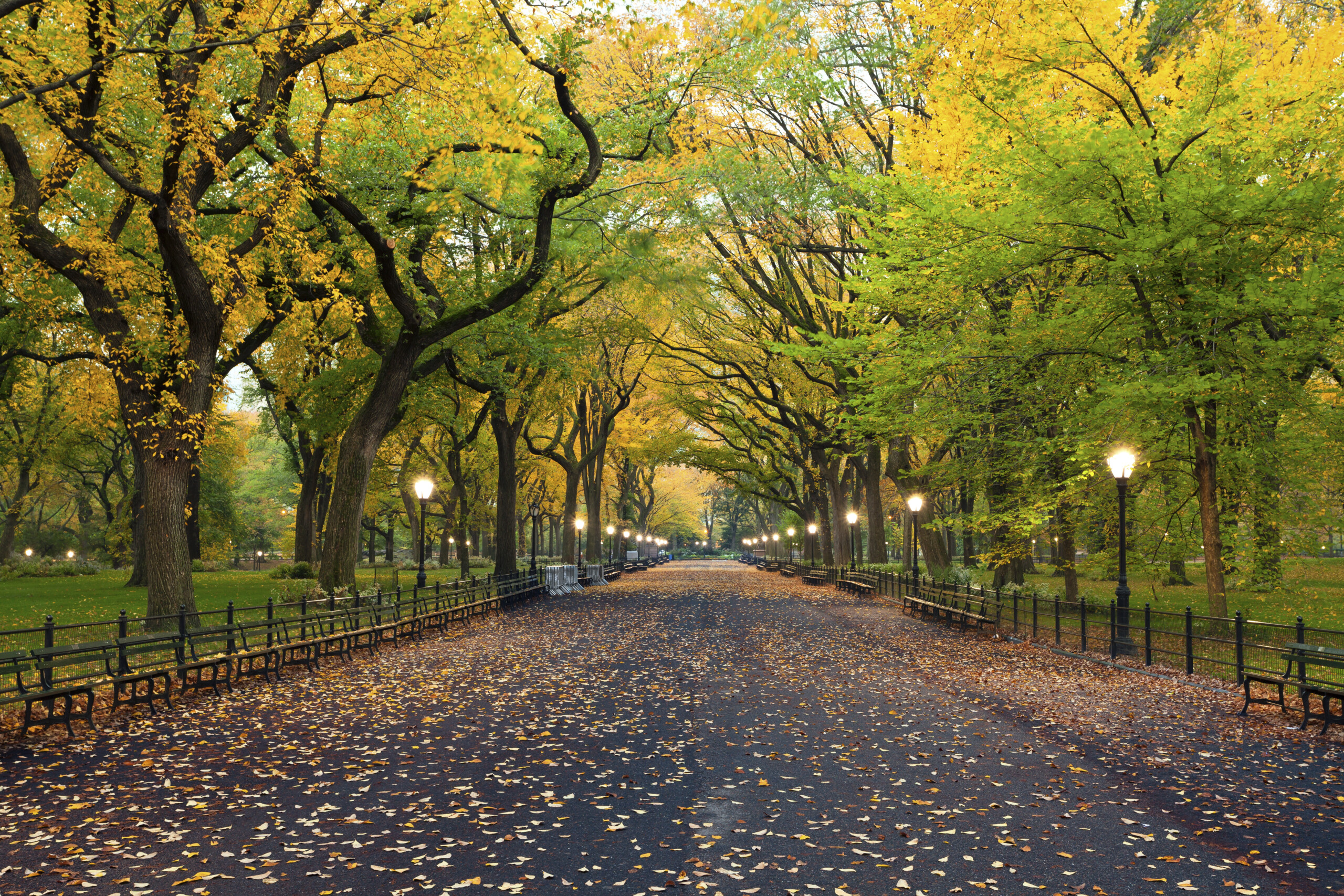 Central Park. Obraz obszaru The Mall w Central Park, Nowy Jork, USA jesienią.
